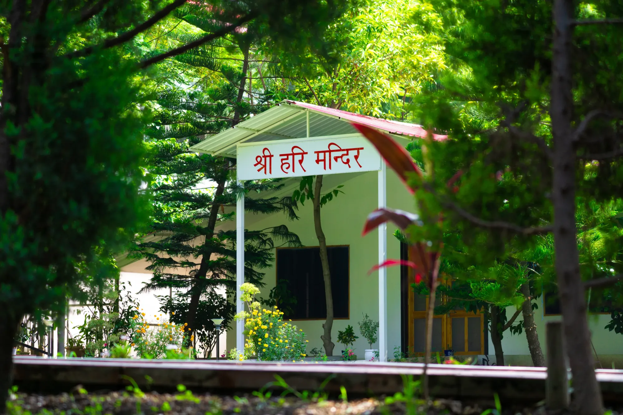 The Sri Hari Mandir among the trees, its sign in red Devanagari